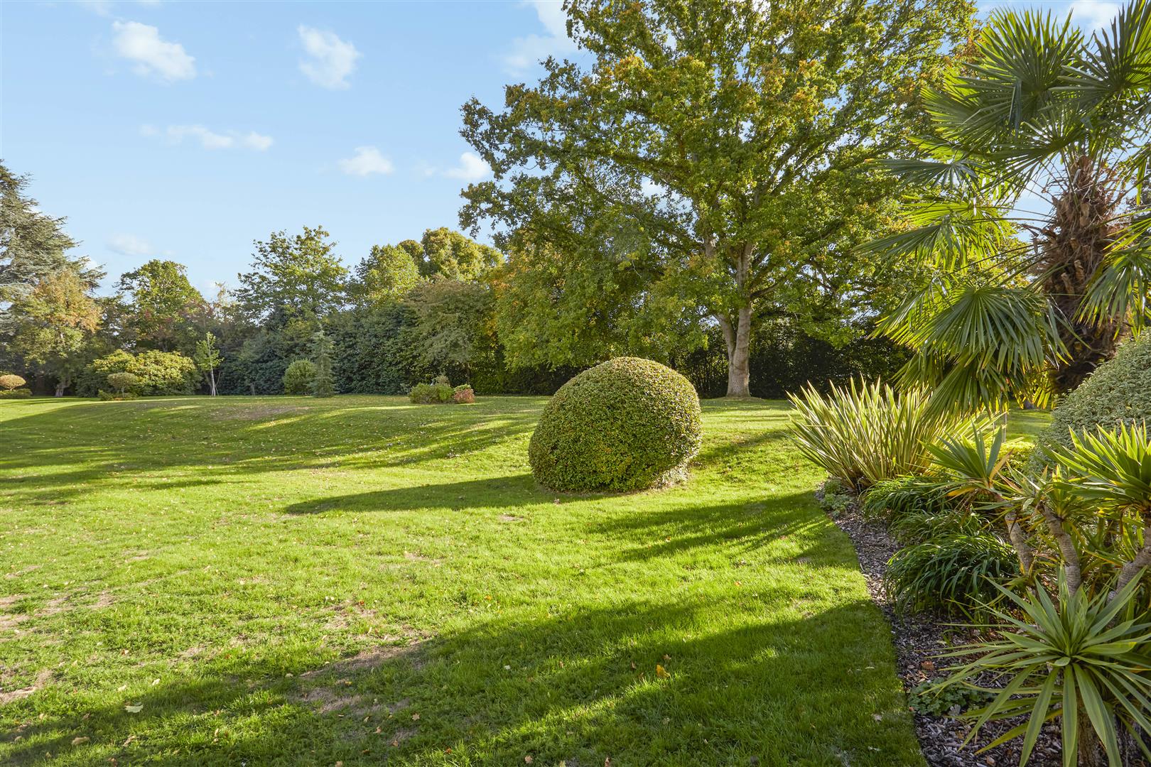 Boyce Thornton Estate Agents Sales & Lettings